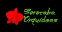 sorocabaorquideas.com.br